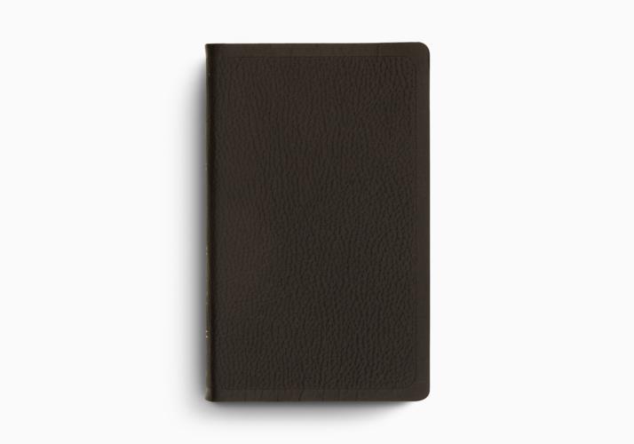 ESV Pocket Bible