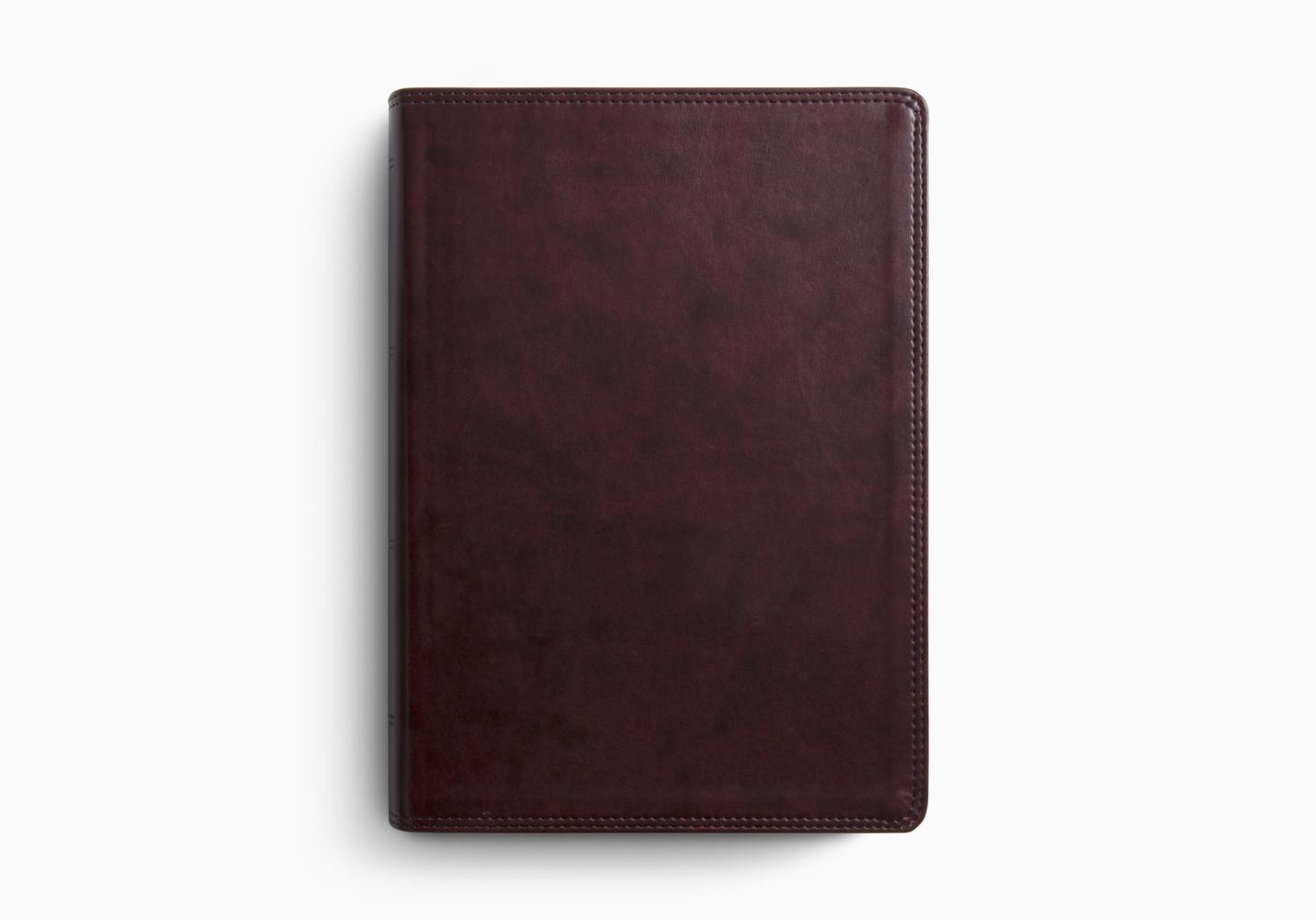 ESV Super Giant Print Bible
