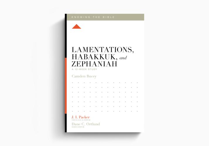 Lamentations, Habakkuk, and Zephaniah