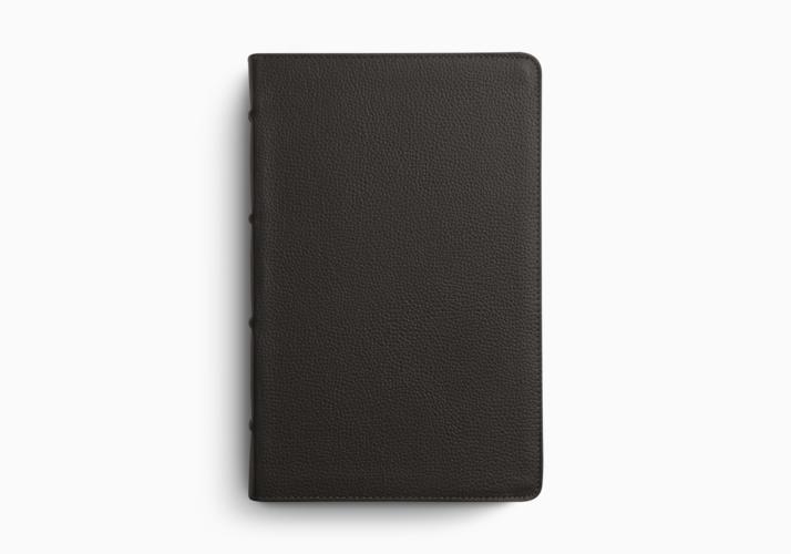 ESV Large Print Personal Size Bible, Red Letter