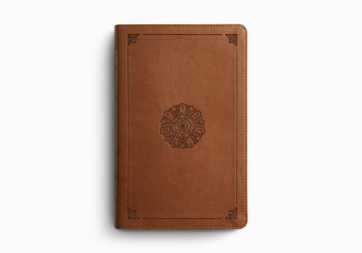 ESV Large Print Thinline Bible