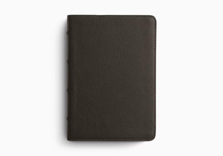 ESV Large Print Compact Bible, Red Letter