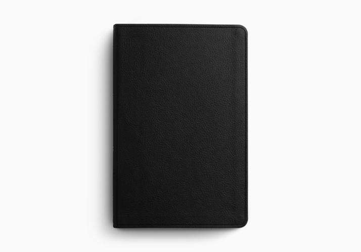 ESV Value Thinline Bible