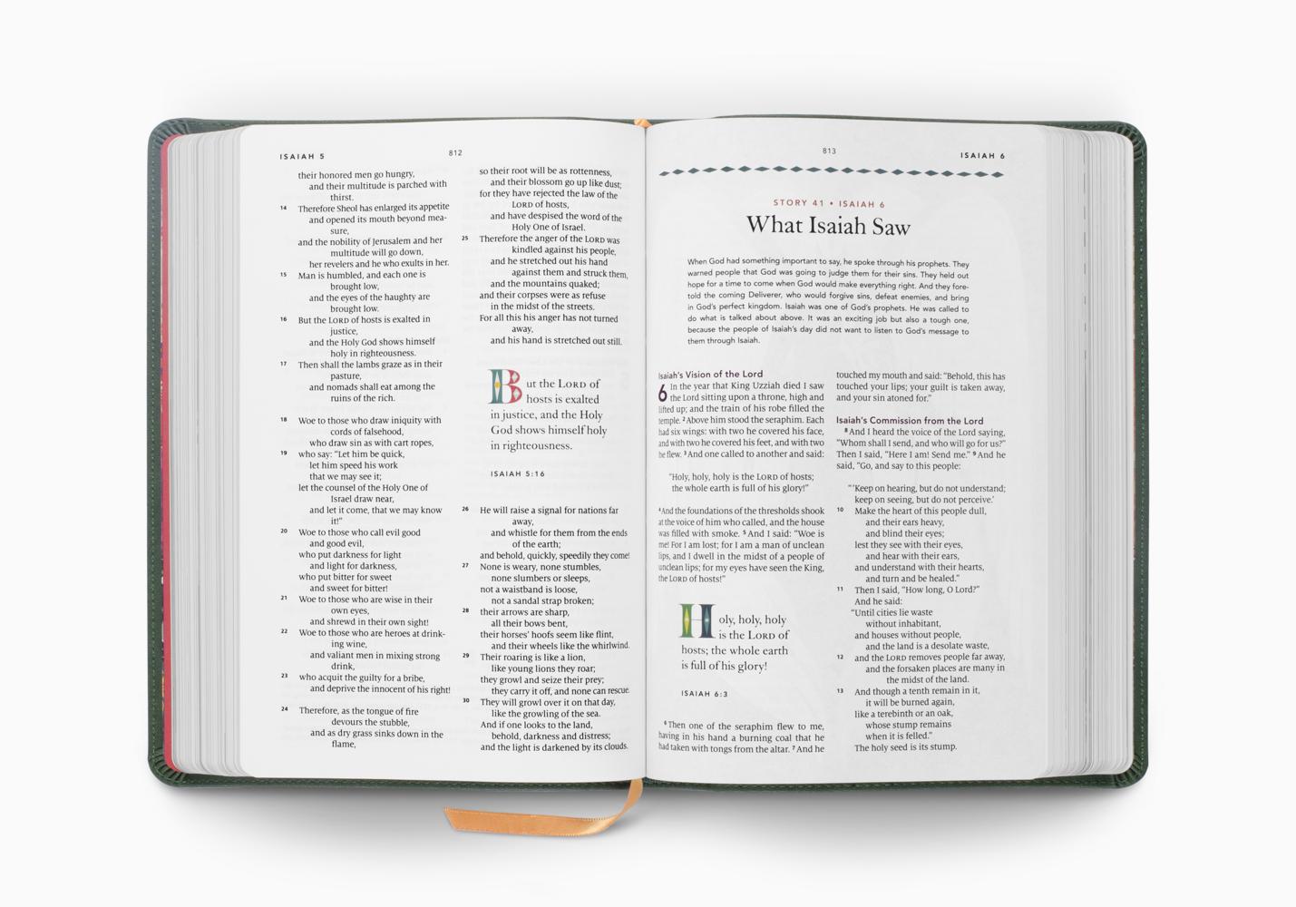 ESV The Biggest Story Holy Bible for Kids