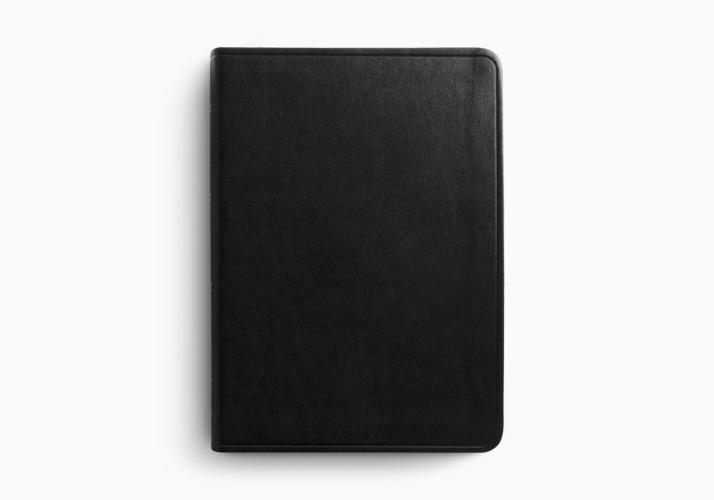 ESV Value Large Print Compact Bible