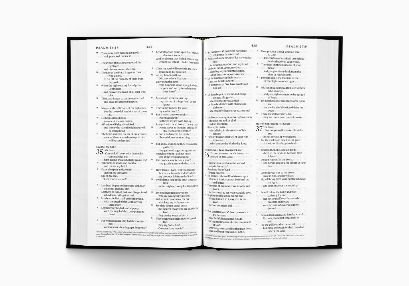 ESV Church Bible