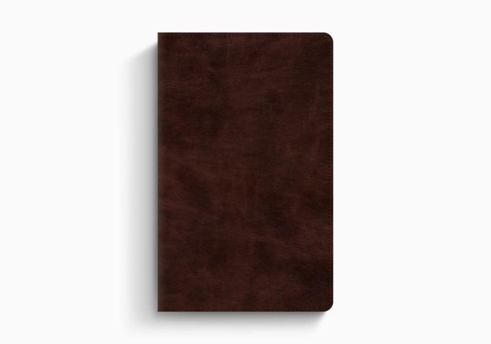 ESV Thinline Bible, Thumb Indexed