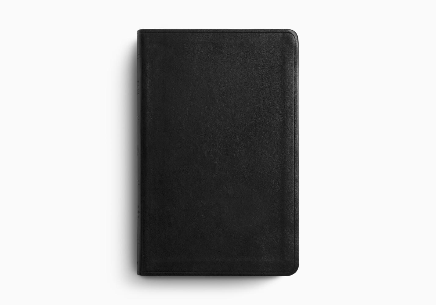 ESV Large Print Value Thinline Bible