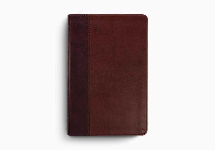 ESV Large Print Thinline Bible