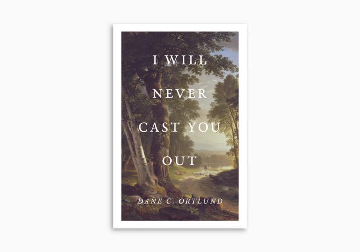 I Will Never Cast You Out