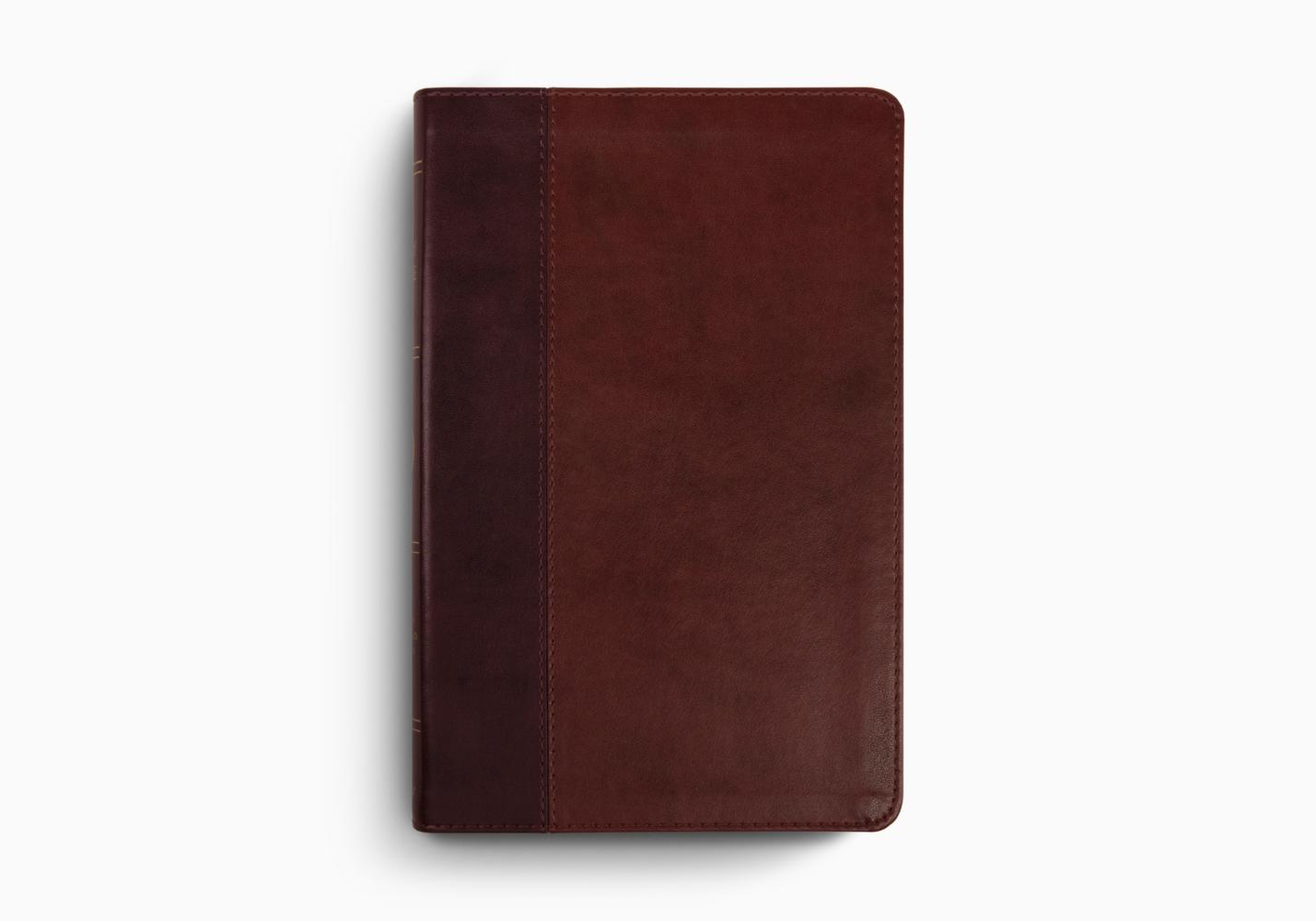 ESV Large Print Thinline Bible