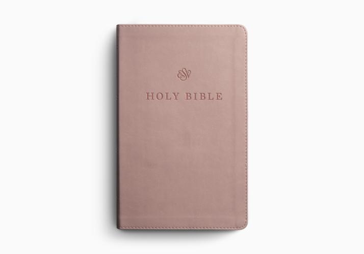 ESV Premium Church Bible, Large Print, Red Letter
