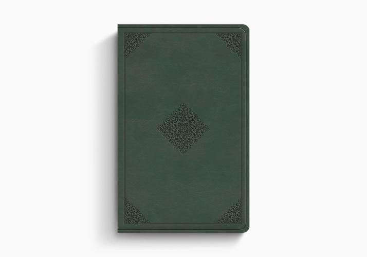 ESV Large Print Value Thinline Bible