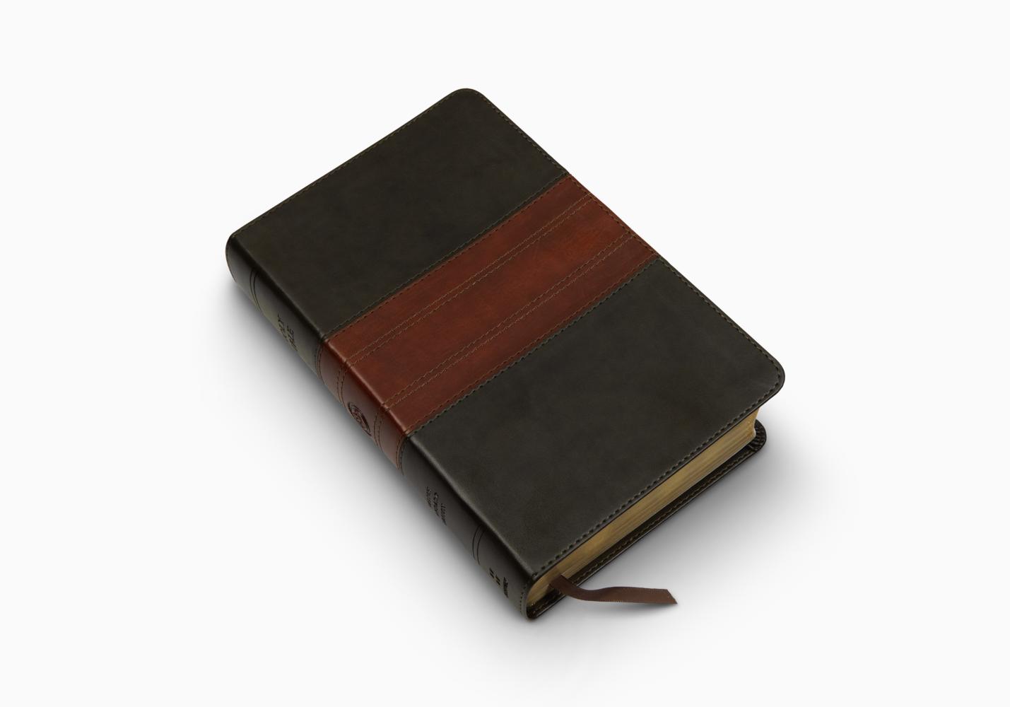 ESV Large Print Personal Size Bible, Red Letter