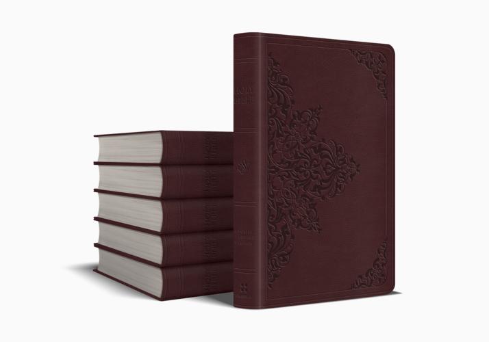 ESV Value Thinline Bible