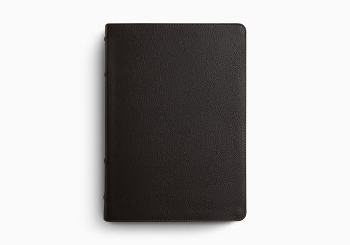ESV Study Bible