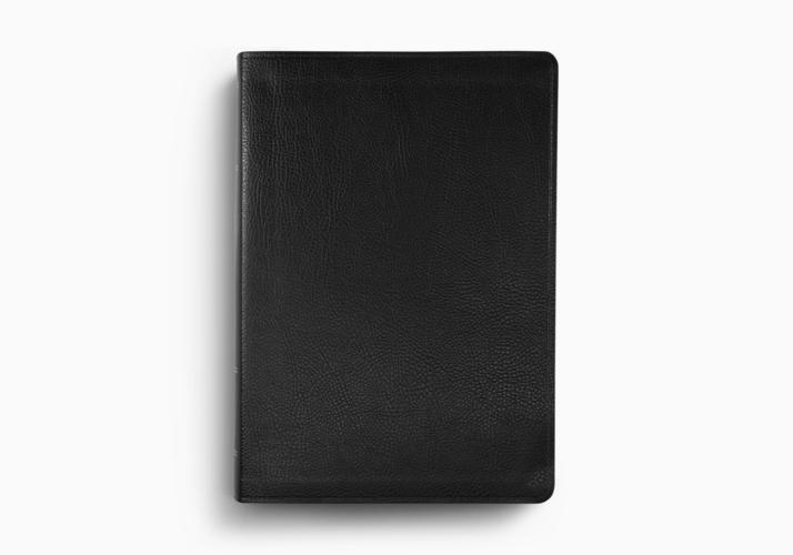 ESV Study Bible