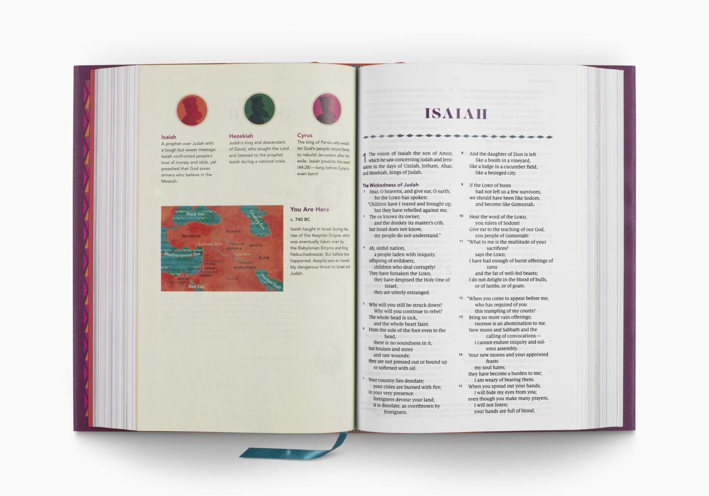 ESV The Biggest Story Holy Bible for Kids