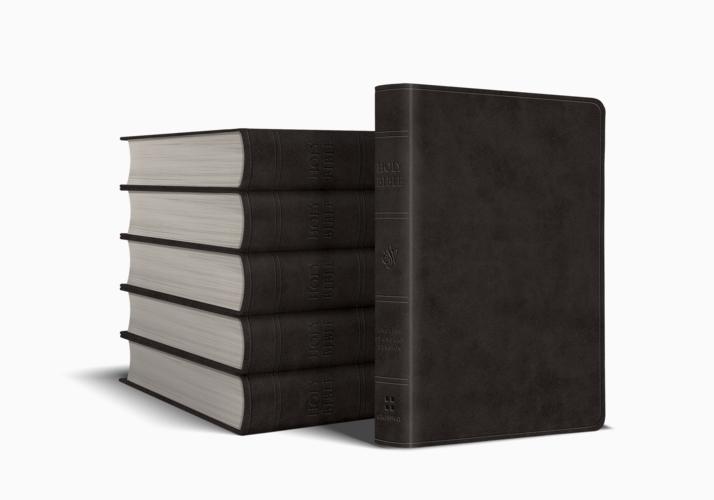 ESV Value Large Print Compact Bible