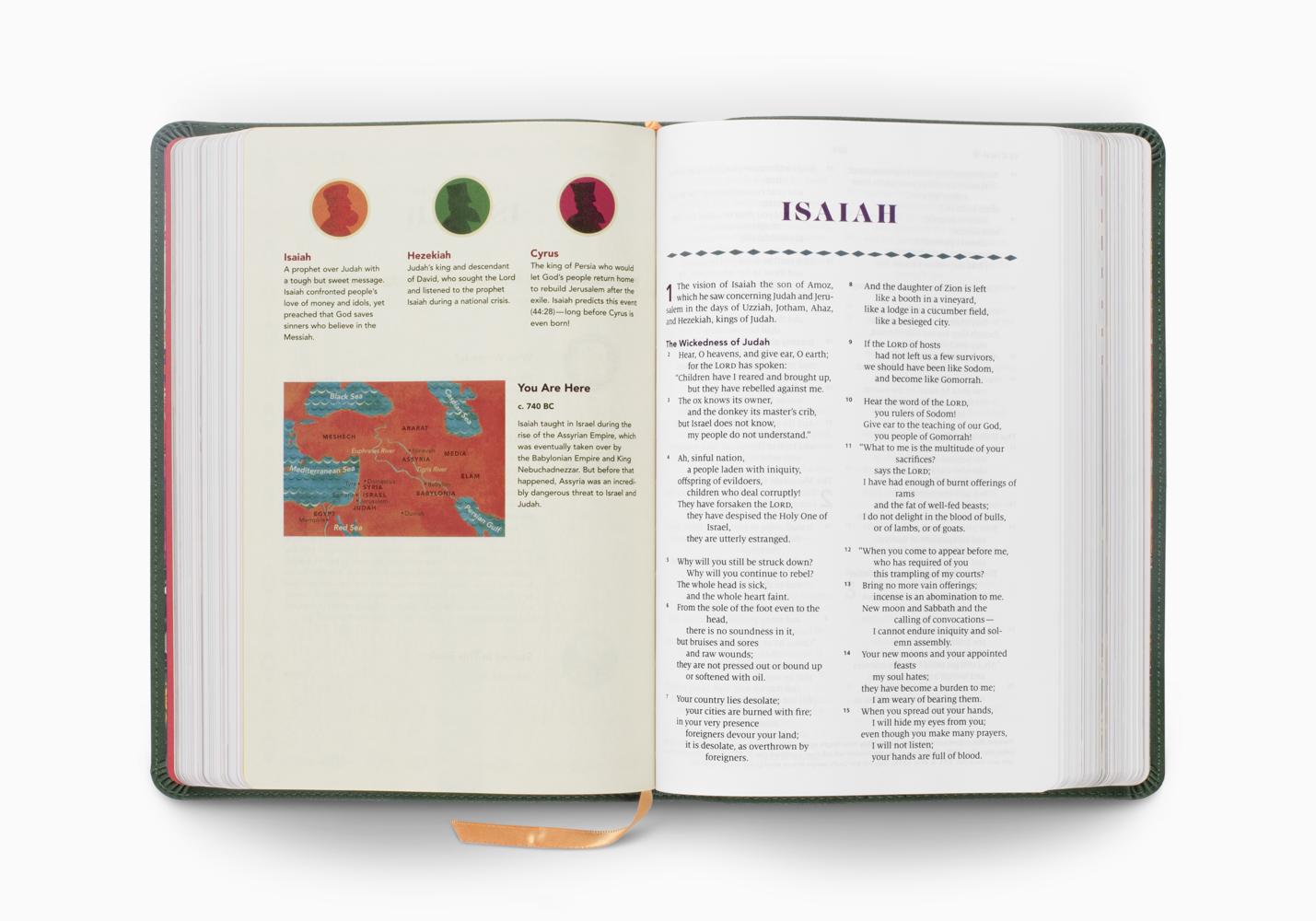 ESV The Biggest Story Holy Bible for Kids