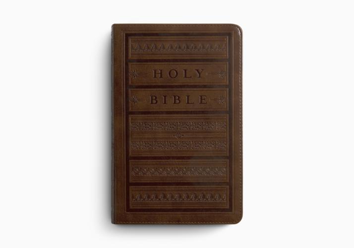 ESV Large Print Personal Size Bible, Red Letter