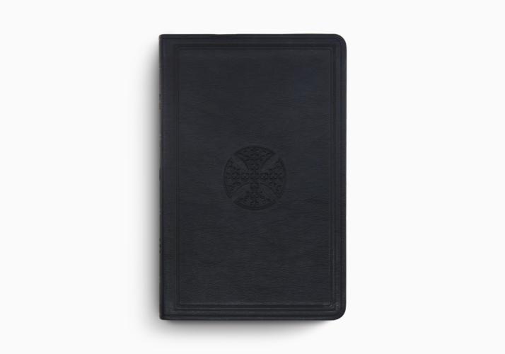ESV Large Print Value Thinline Bible