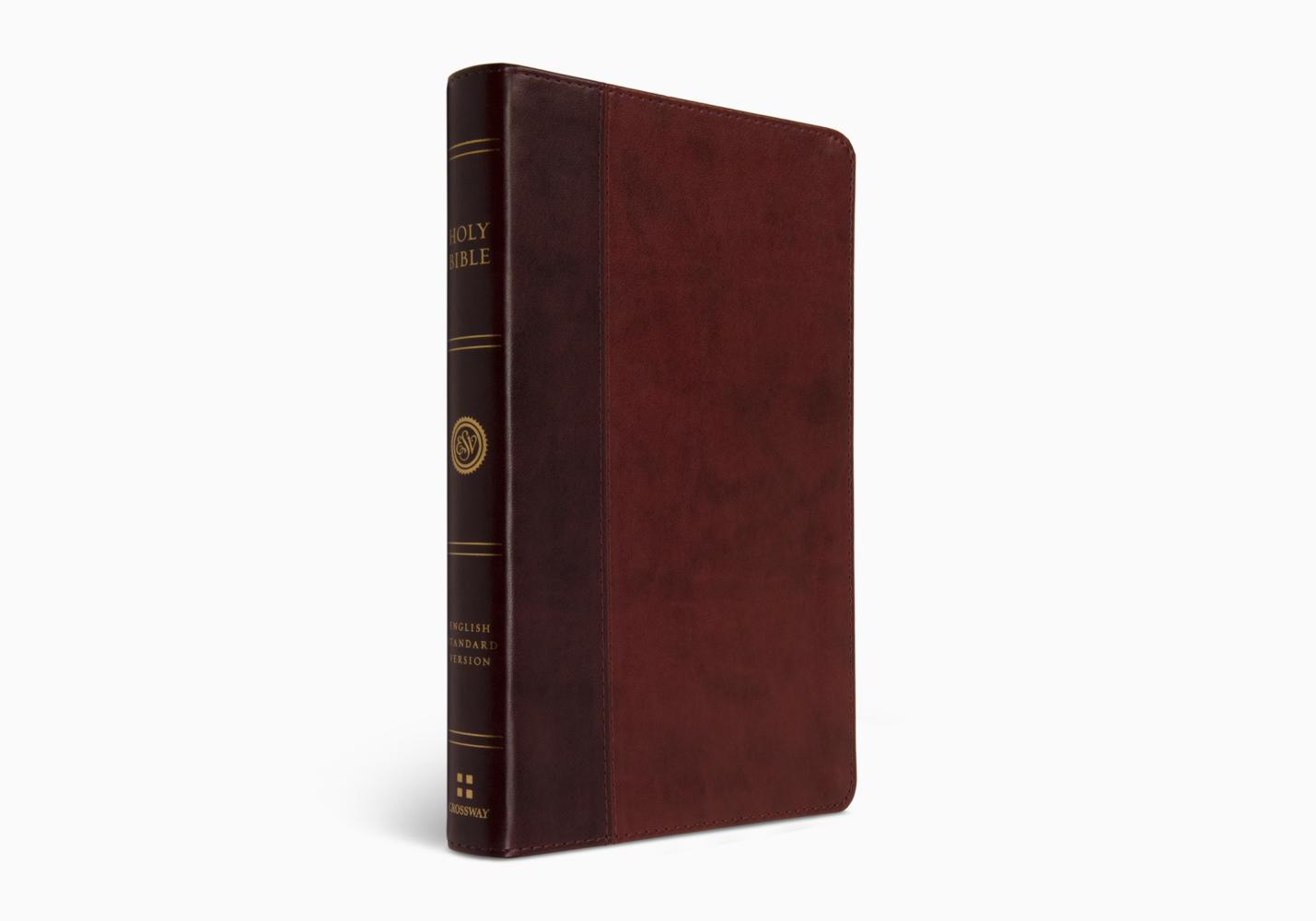 ESV Large Print Thinline Bible
