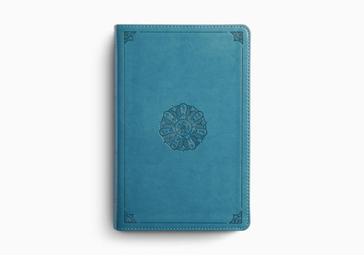 ESV Large Print Personal Size Bible, Red Letter