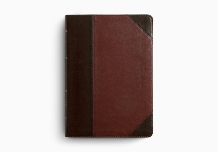 ESV Large Print Wide Margin Bible