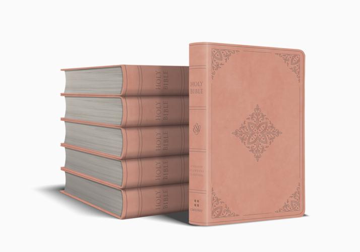ESV Value Large Print Compact Bible