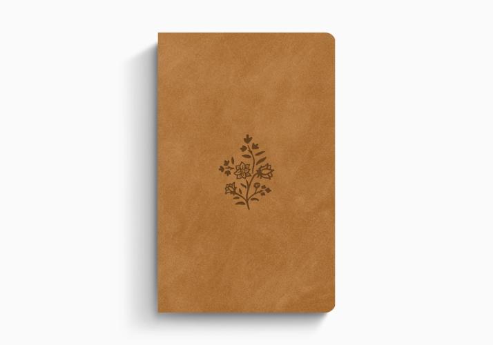 ESV Large Print Value Thinline Bible