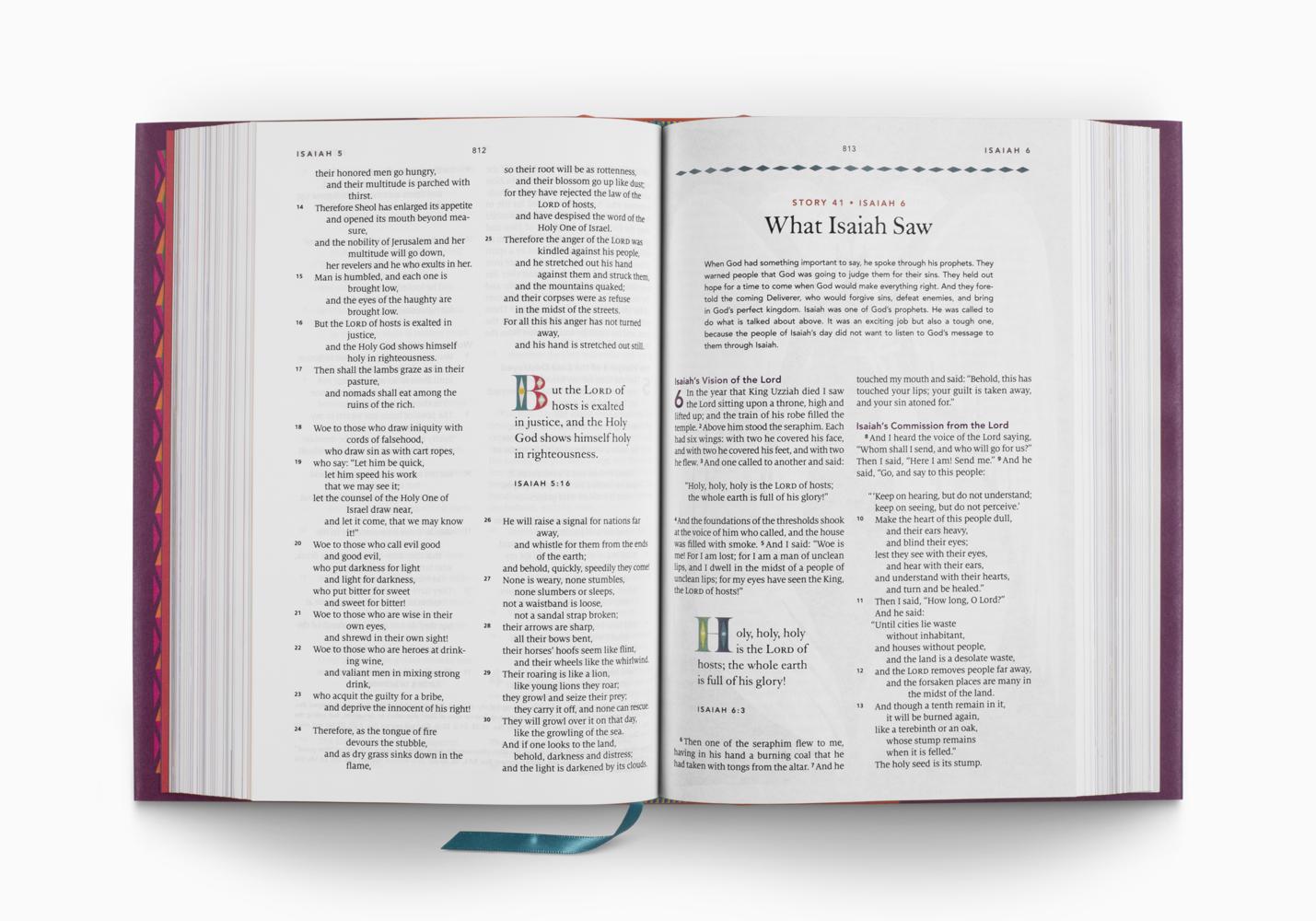 ESV The Biggest Story Holy Bible for Kids