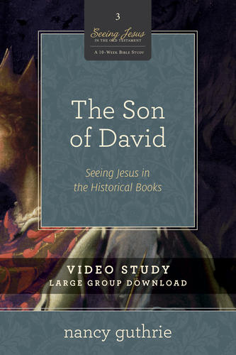 The Son of David Video Study