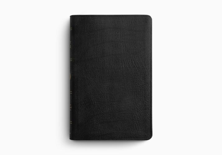 ESV Large Print Thinline Bible
