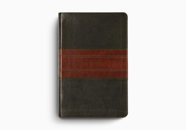 ESV Large Print Personal Size Bible, Red Letter