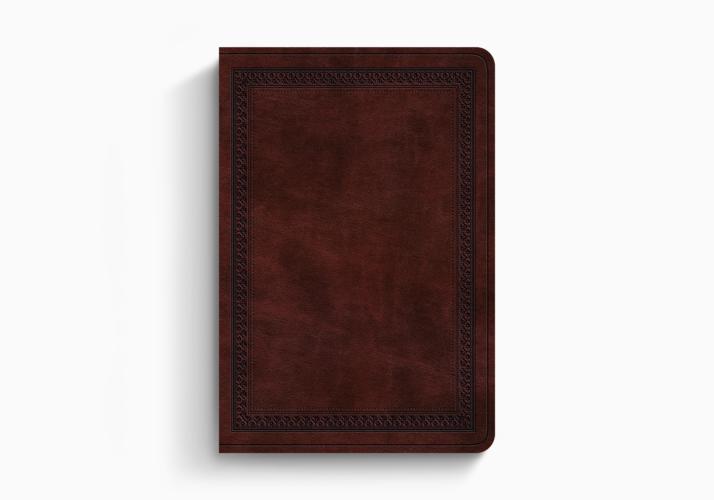 ESV Value Large Print Compact Bible