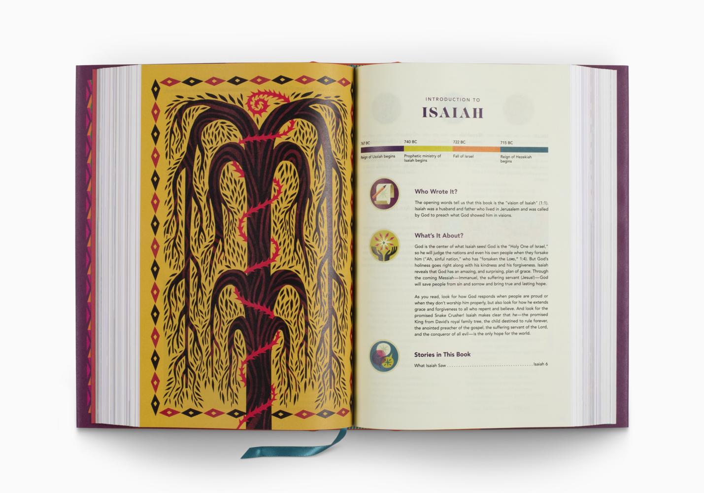 ESV The Biggest Story Holy Bible for Kids