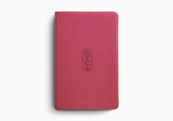 ESV Kid's Bible, Thinline, Red Letter