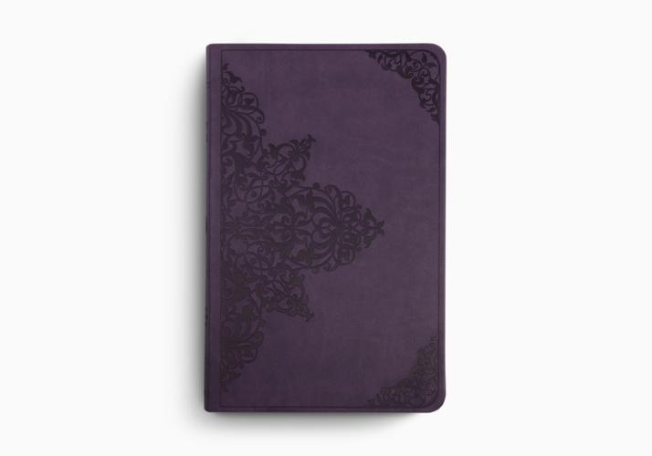 ESV Large Print Value Thinline Bible
