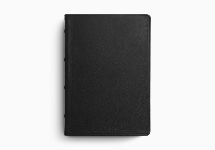 ESV Large Print Bible