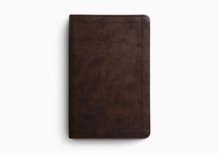 ESV Premium Gift Bible, Red Letter