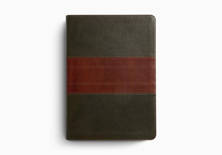 ESV Study Bible