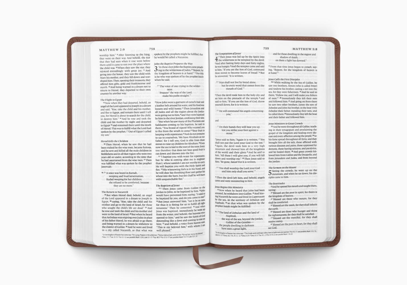 ESV Premium Church Bible