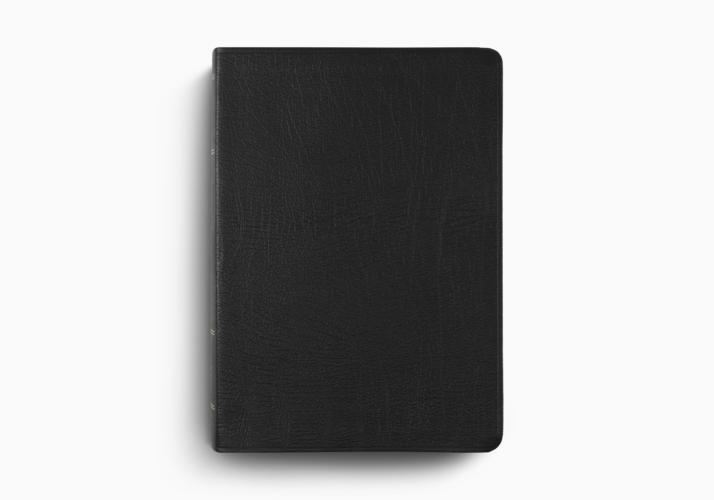 ESV Study Bible