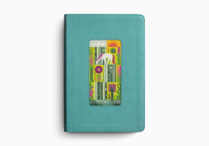 ESV The Biggest Story Holy Bible for Kids