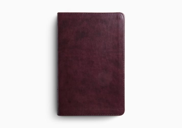 ESV Large Print Thinline Bible