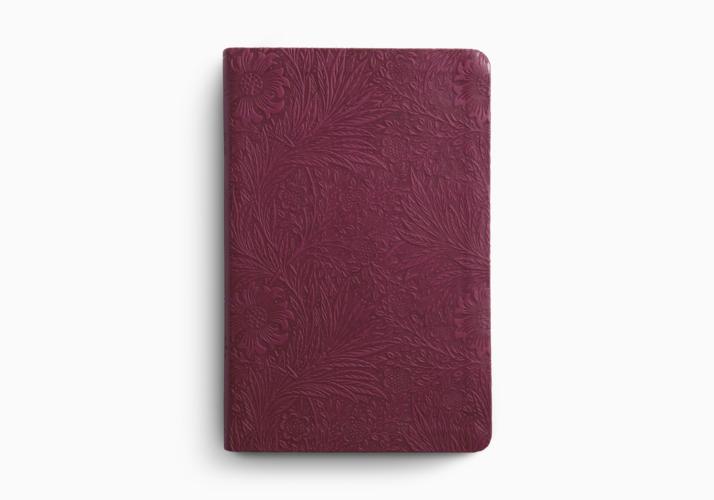 ESV Large Print Value Thinline Bible