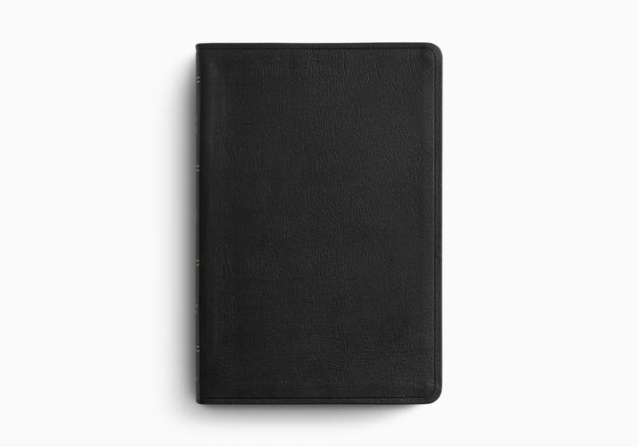 ESV Large Print Thinline Reference Bible