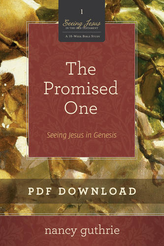 The Promised One Personal Bible Study