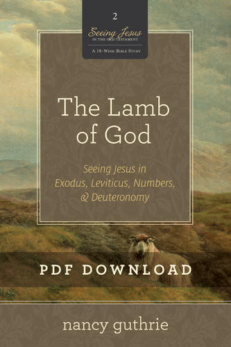 The Lamb of God Personal Bible Study
